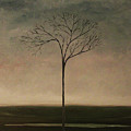Det lille treet - The Little Tree